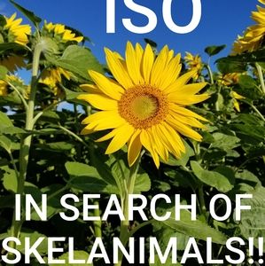 ISO Skelanimals DO NOT BUY